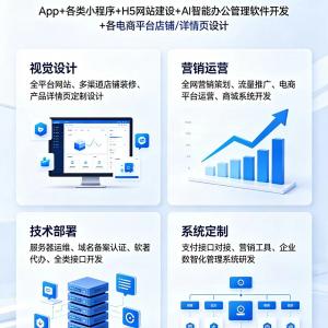 全域互联网营销策划 · 全渠道精准推广 电商平台定制开发 ·